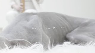Vivid Consort|Upon la mi re