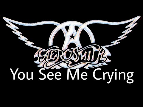 ✨️中古レアDVD✨️Aerosmith U See Me Crying2009 ✨️中古レアDVD✨️Aerosmith U See Me Crying2009 - メルカリ