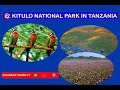 KITULO First National Park In Tropical Africa To Be Established Primarily To Protect Its Flora KITULO First National Park In Tropical Africa To Be Established Primarily To Protect Its Flora