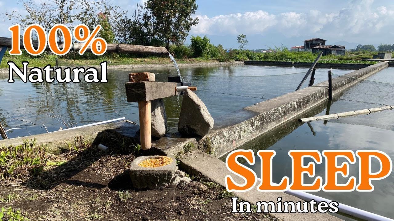 Soothing village sounds from a traditional corn pounder - Part2