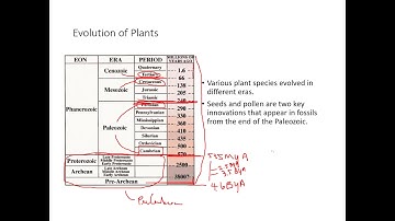 BIOL 1407 Chapter 26 Part 1 Recorded Lecture