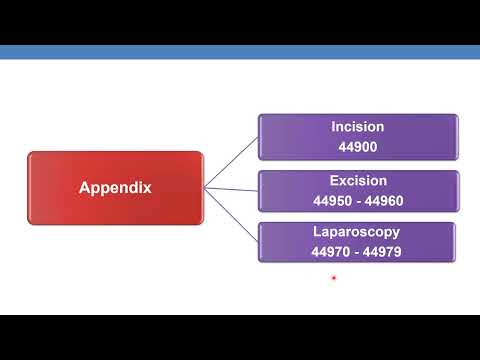 2023 CPT CODING GUIDELINES FOR SURGERY DIGESTIVE SYSTEM  Part 10