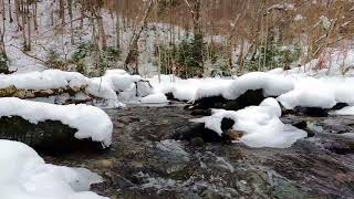 White Paradise in the Forest: Waterfall Sound as Therapy for the Mind and Soul