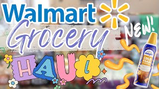 LARGE WALMART GROCERY HAUL | IT WAS HOW MUCH? | GROCERY HAUL + MEAL PLAN