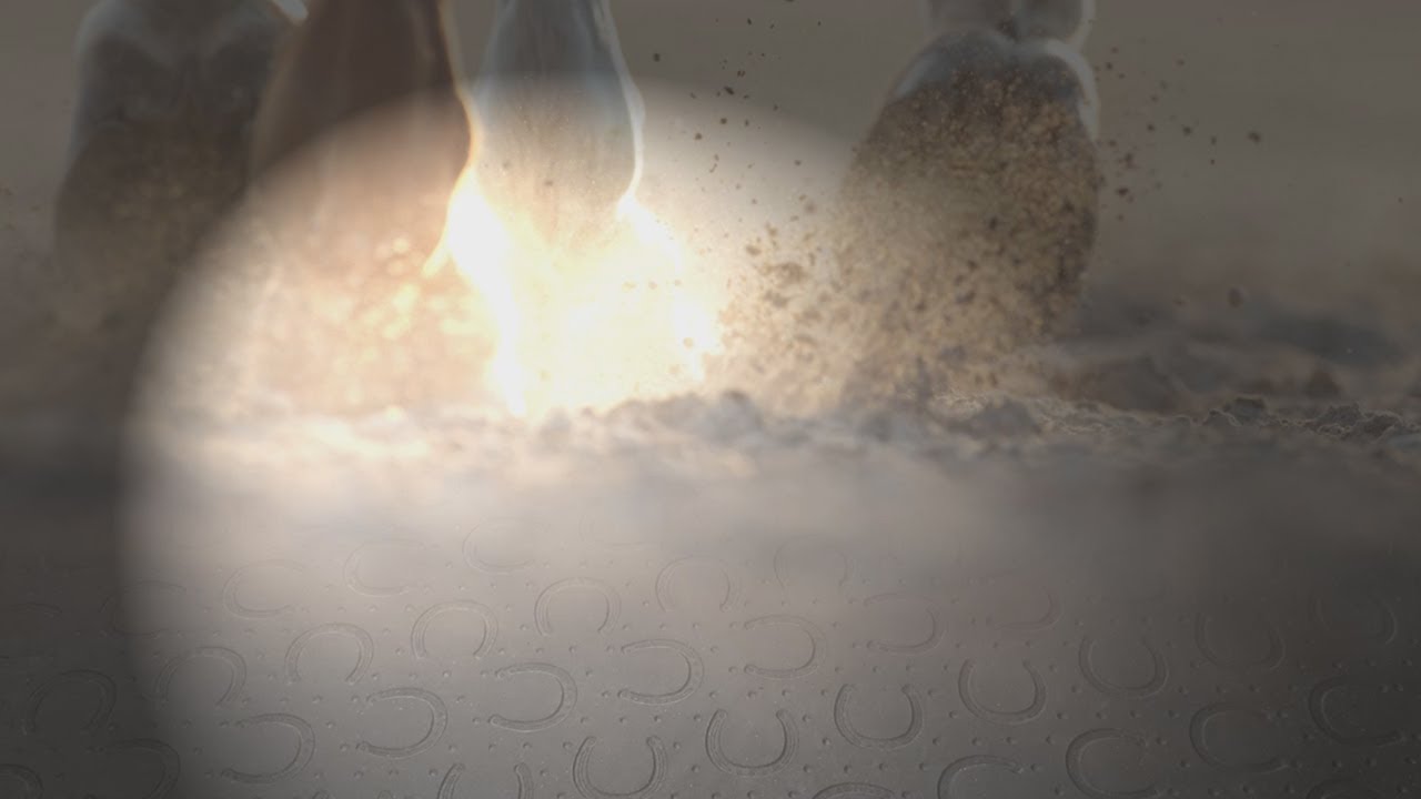 BELMONDO stable mats for horse keeping