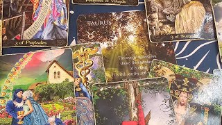 TAURUS ♉️ MID-MONTH "YES, A RARE CONNECTION, AN EXCITING EXPERIENCE BRINGS EVERYTHING TOGETHER!