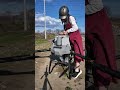 小麦に液肥散布した🌱‬‪ #djiagriculture#DJIT7OP#shorts