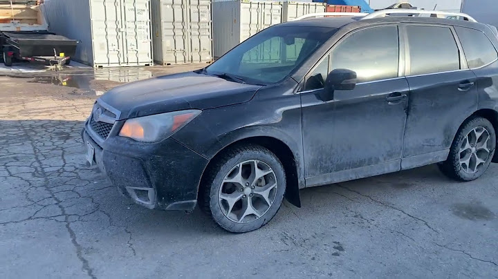 Đánh giá subaru forester 2.0 i-l năm 2024