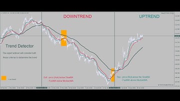 RobotFX Fluid EA [1] -  How to detect the trend using the Trend Detector
