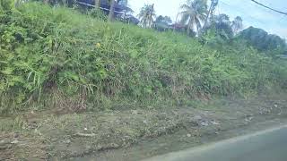 VID 20260215 155539