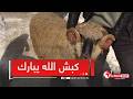 شاهد مواطن من بريكة نشكر السلطات على المساعدة والتسهيلات في اقتناء أضـ ـاحي العيد