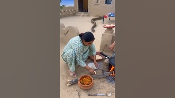 "Lady Cooking in Courtyard When Giant Python Appears Suddenly! 😱🐍" #shorts #snake #villagelife