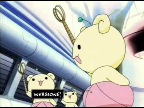 ქართველი ვაჟკაცები კაზანტიპისთვის ემზადებიან