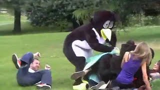 Evil Penguins Crash Picnic - Book Trailer