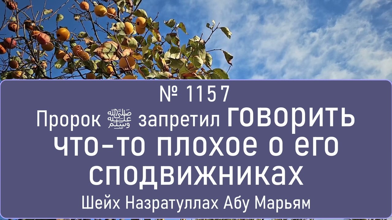 Пророк ﷺ запретил говорить что-то плохое о его сподвижниках