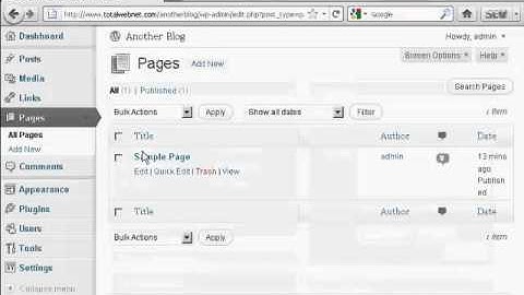 Video 37   How To Clean Up A New WordPress Blog