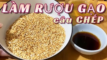 Cách làm rượu gạo câu cá Chép , trắm trôi mè
