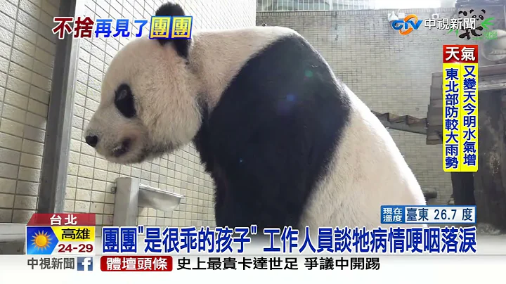 动物园爆人潮涌入猫熊馆 追念"团团": 好不舍!│中视新闻 20221120 - 天天要闻