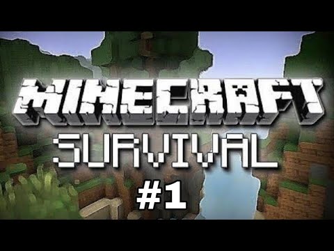 minecarft survival დავიწყე