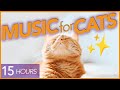 No ads magic music to calm cats  15hr uninterrupted lullaby 