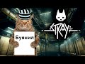 Кот в тюрьме | Stray | №8