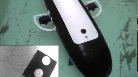 2D Visual Servoing ORCA 300