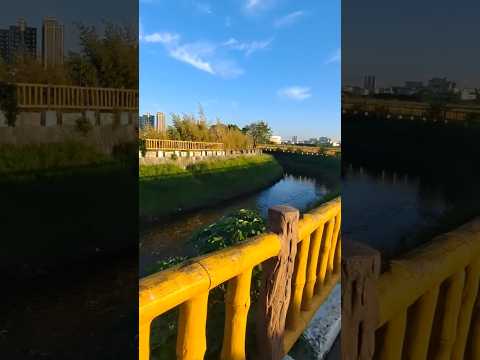 1141116安平鎮庄自行車道
