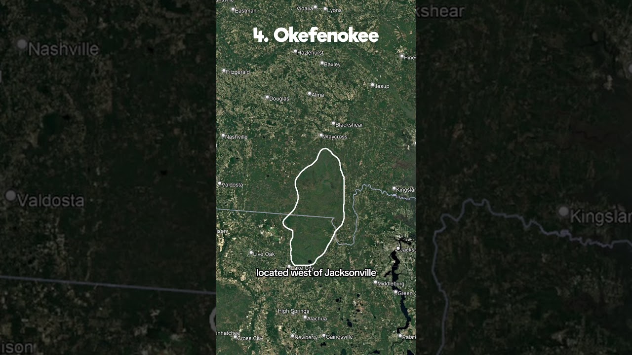 America's Largest Swamps 