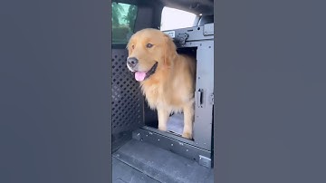 Things we love most about our impact dog crate: