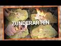 TOP 4 Zunderarten | Bei jedem Wetter ein Feuer?