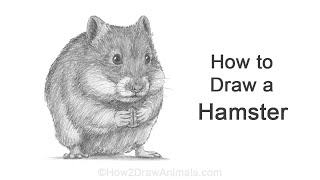 How to Draw a Hamster (Standing) screenshot 2