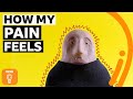 Understanding Pain: A Comprehensive Quiz