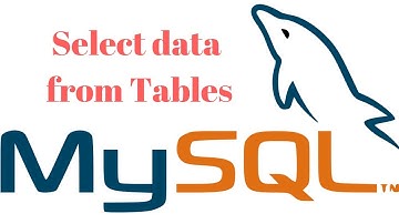 5- Select data from table in Mysql