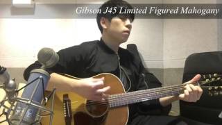 Taylor 314CE  vs Gibson J45
