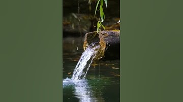 🌿تلاوة من سورة العنكبوت 🌿القارئ ياسر الدوسري 🌿