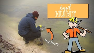 ICE AGE FOSSILHUNT!!? I Fossilhunting in the NETHERLANDS I Finding FOSSILS