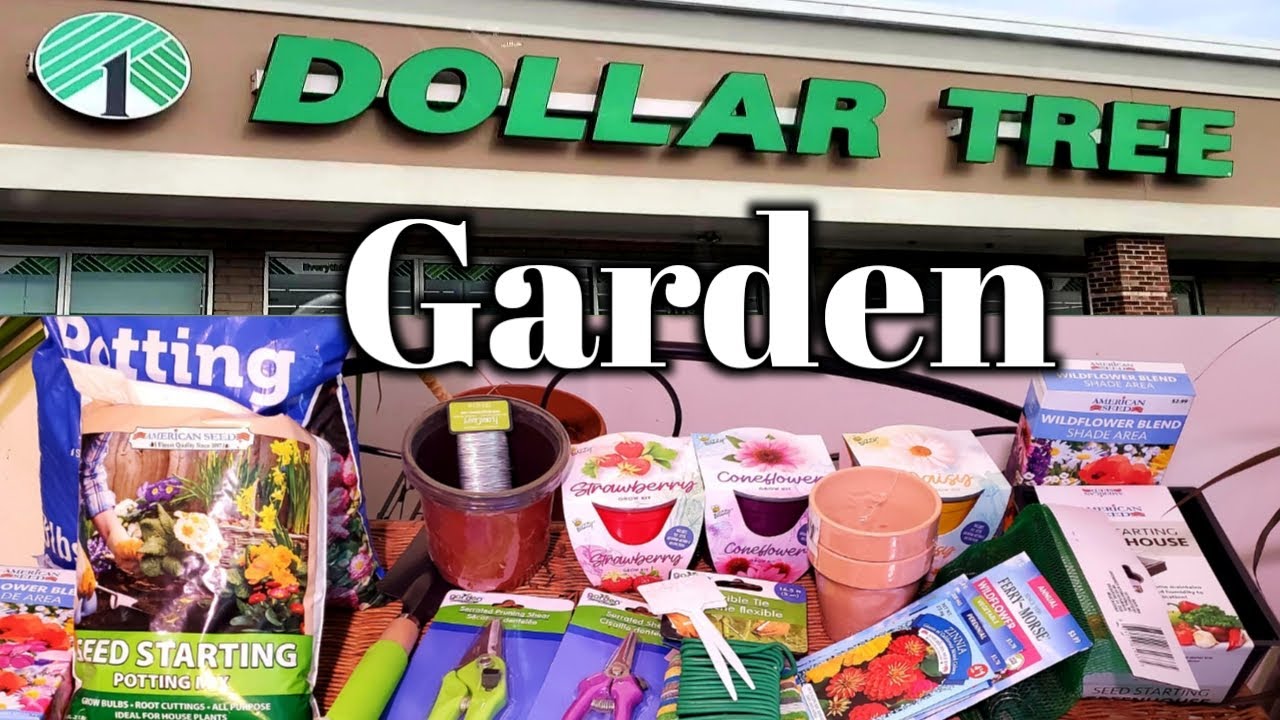 Dollar Tree Budget GardeningGrow A 20 Garden YouTube