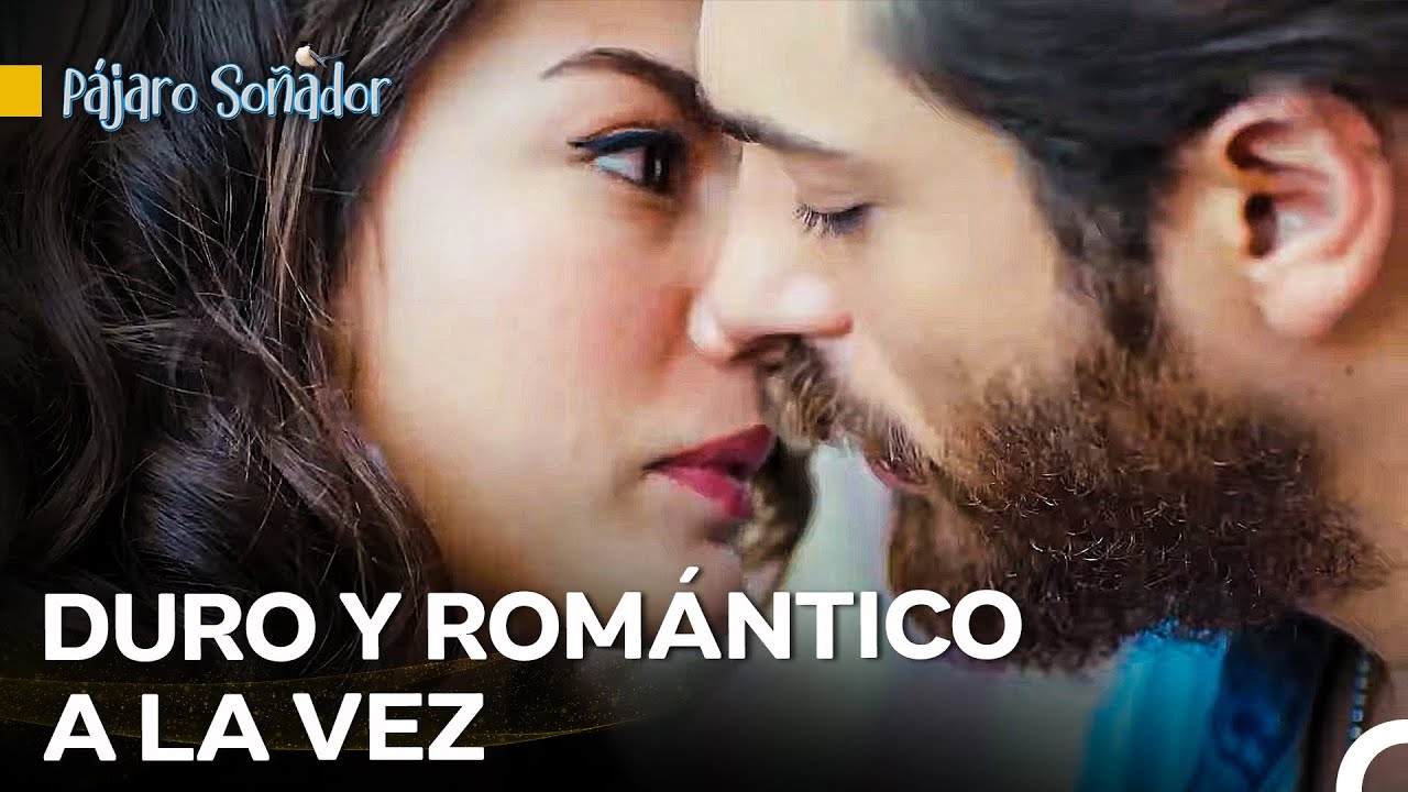 El Primer Beso Tras Una Larga Separación - Pájaro Soñador