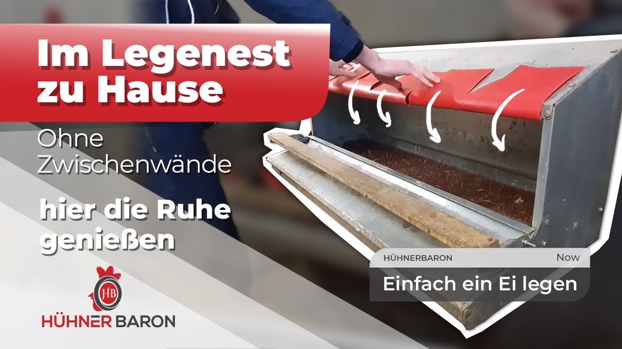 HÜHNERBARON® Vinylklappen, Kunstrasen und Innenraum - YouTube
