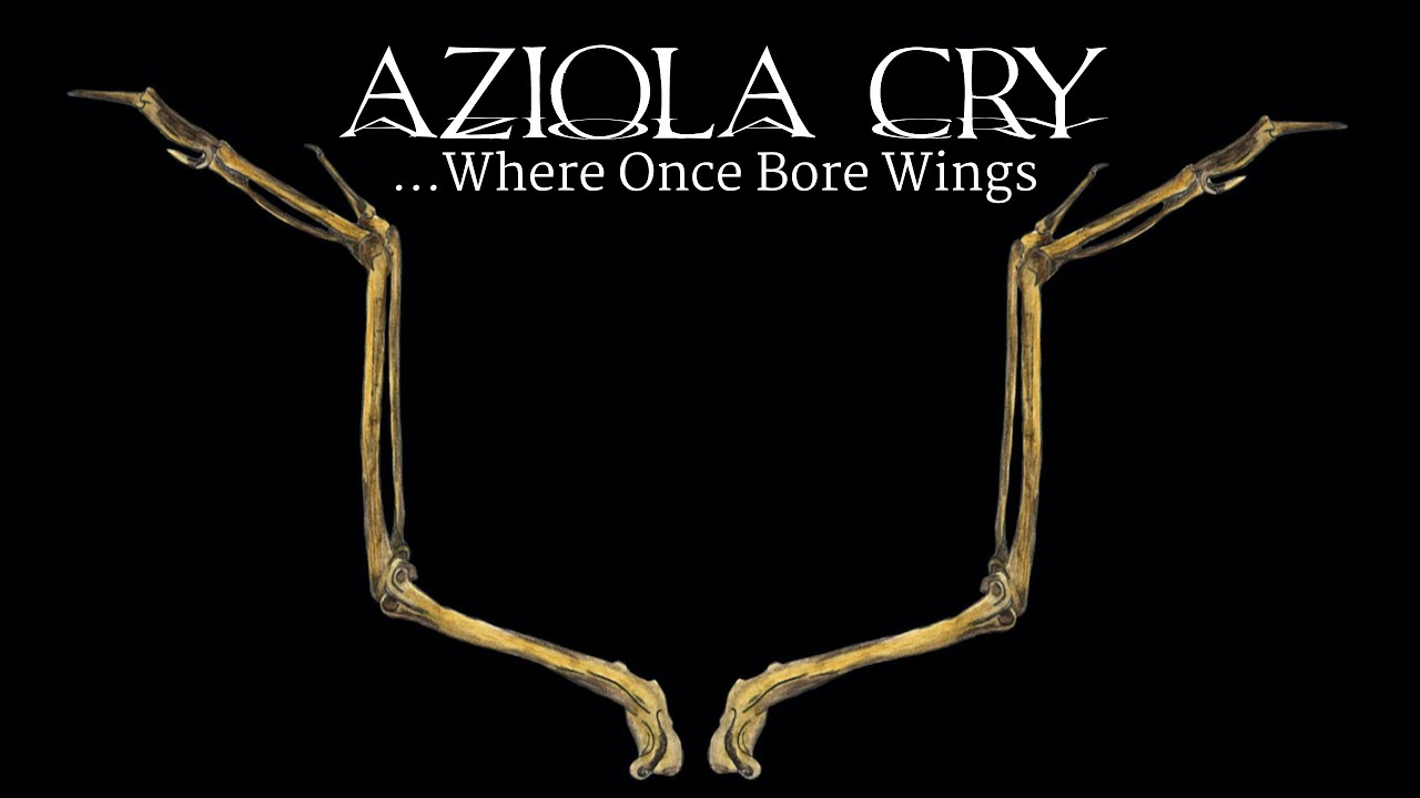 AZIOLA CRY - ...Where Once Bore Wings (Official Video)