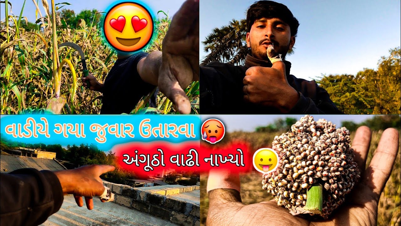 વાડીએ ગયા જુવાર ઉતારવા દાતેડુ લગાડ્યું 😅 #vairalvideo #vlog #lifestyle #farming #સબ્સ્ક્રાઇબ 