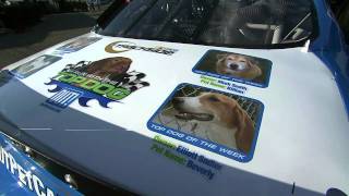 Trevor Bayne OUT! Pet Care Case Study