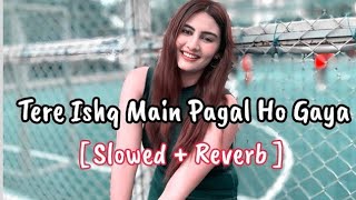 Tere Ishq Me Pagal - Slowed + Reverb || Humko Tumse Pyar Hai |@Beatgirl4u #bollywoodsongs