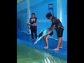 His teaching her how to dive and look what happened after😂 #funnyvideo