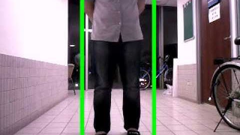 Depth of Interest + Mean shift Tracking