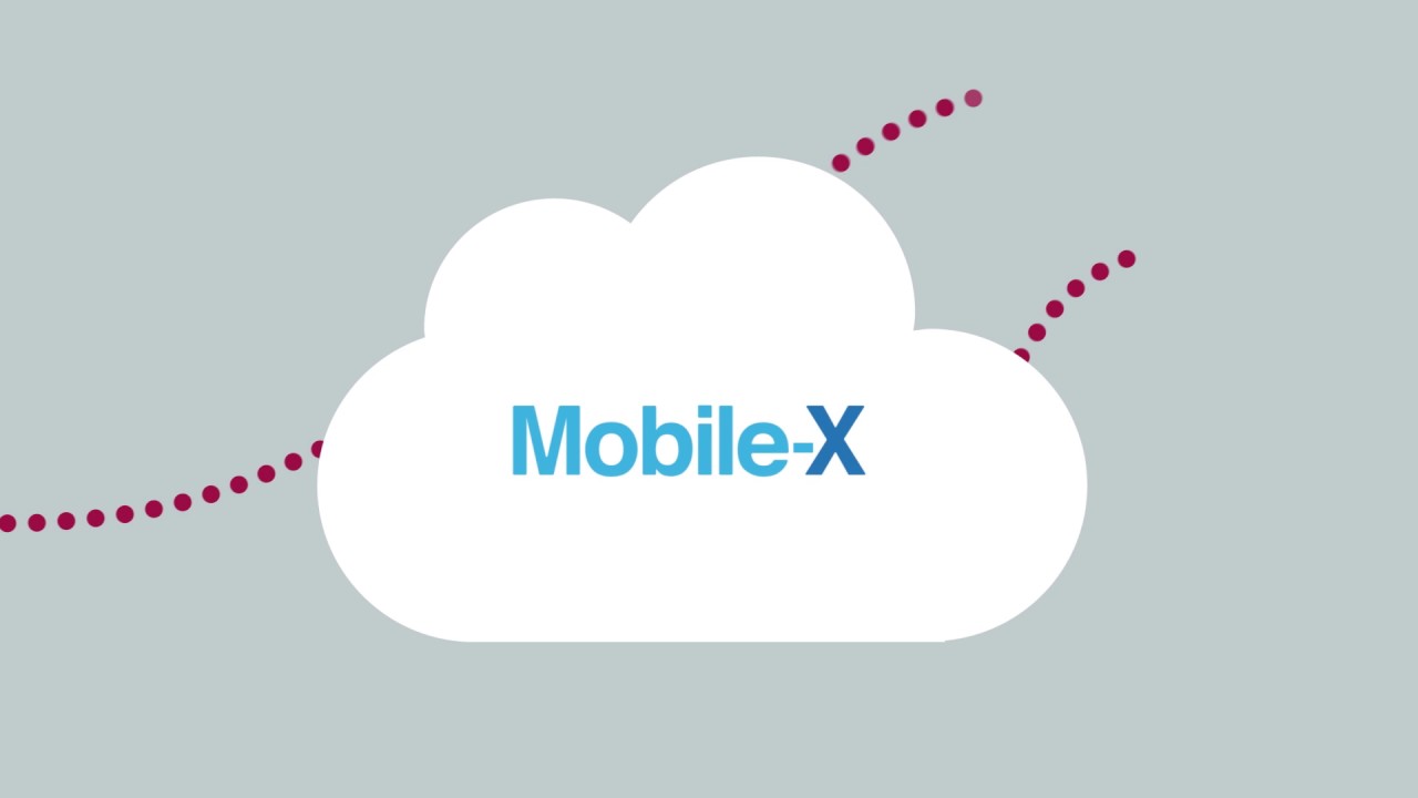 Mobile-X The Business Mobile Network
