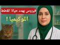 اللوكيميا في القطط FeLV……عدو القطط الذي يهدد حياة صديقك الصغير!