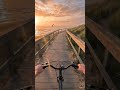 Riding into the Sunset 🌇✨ Most Relaxing View 😍#sunset, #cycling #aesthetic #viral #trending #shorts