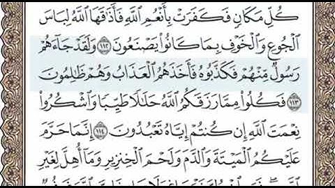سورة النحل الصفحة 280 الشيخ محمد صديق المنشاوي