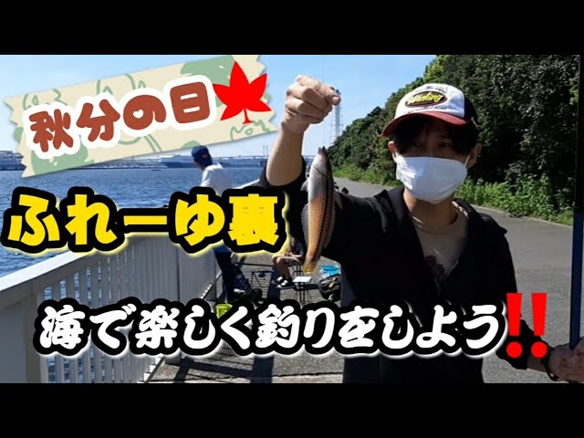 21年9月初旬東扇島西公園 ふれーゆ裏にて釣り初心者がサバを釣る そして猫ちゃんにもあげる Youtube 21年9月初旬東扇島西公園 ふれーゆ裏にて釣り初心者がサバを釣る そして猫ちゃんにもあげる Youtube